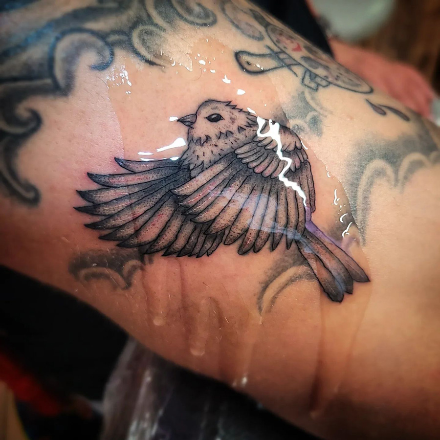 Corey Kennedy Bird Tattoo